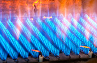Lidget gas fired boilers
